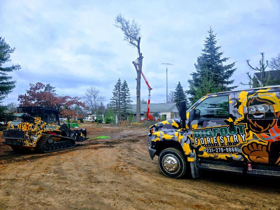 Bigfoot Forestry - Wilmington Image