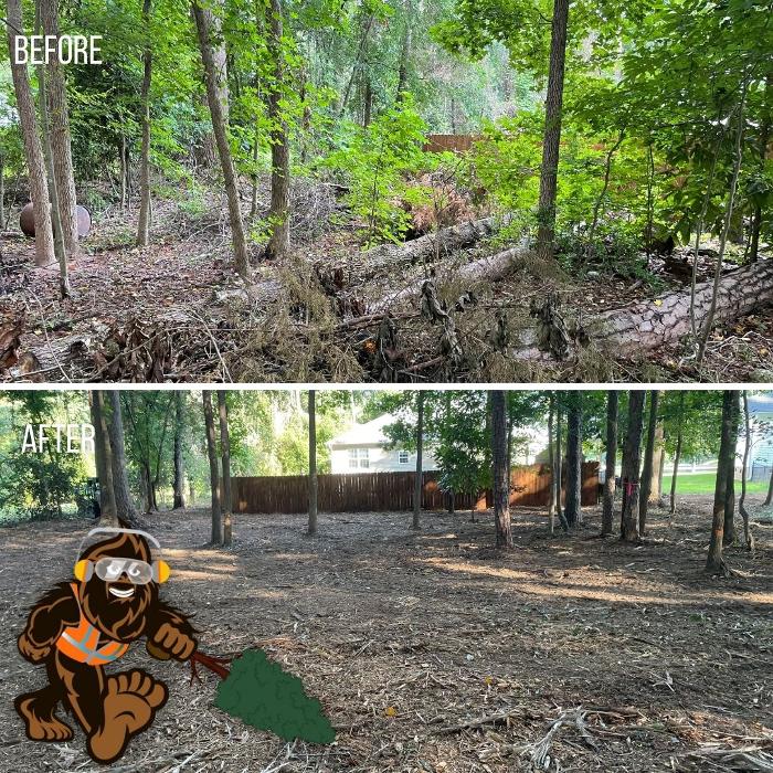 Bigfoot Forestry - Concord Image