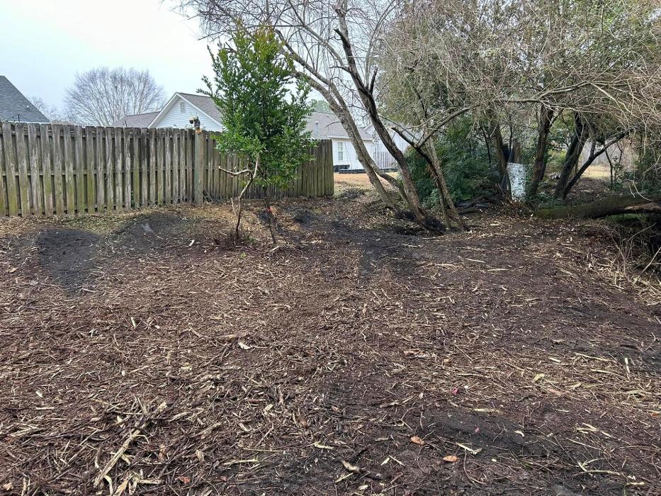 Bigfoot Forestry - Concord Image