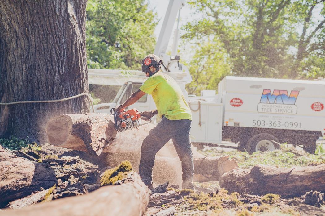 Mountain View Tree Service Image