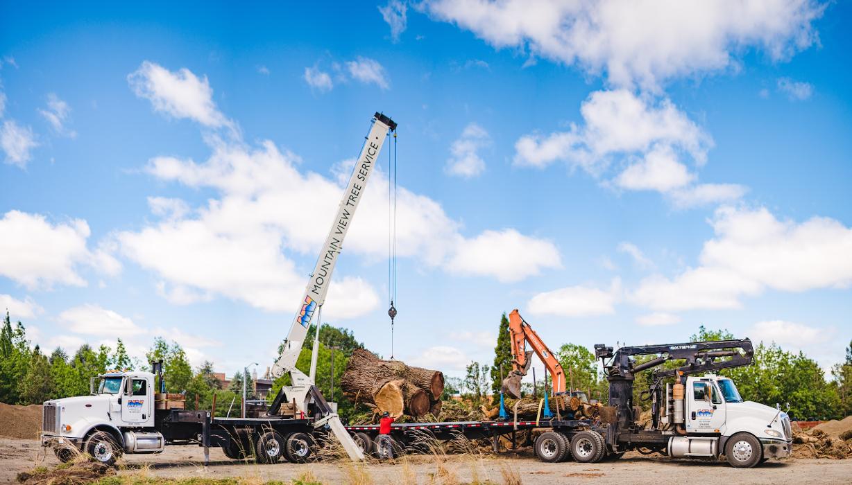 Mountain View Tree Service Image