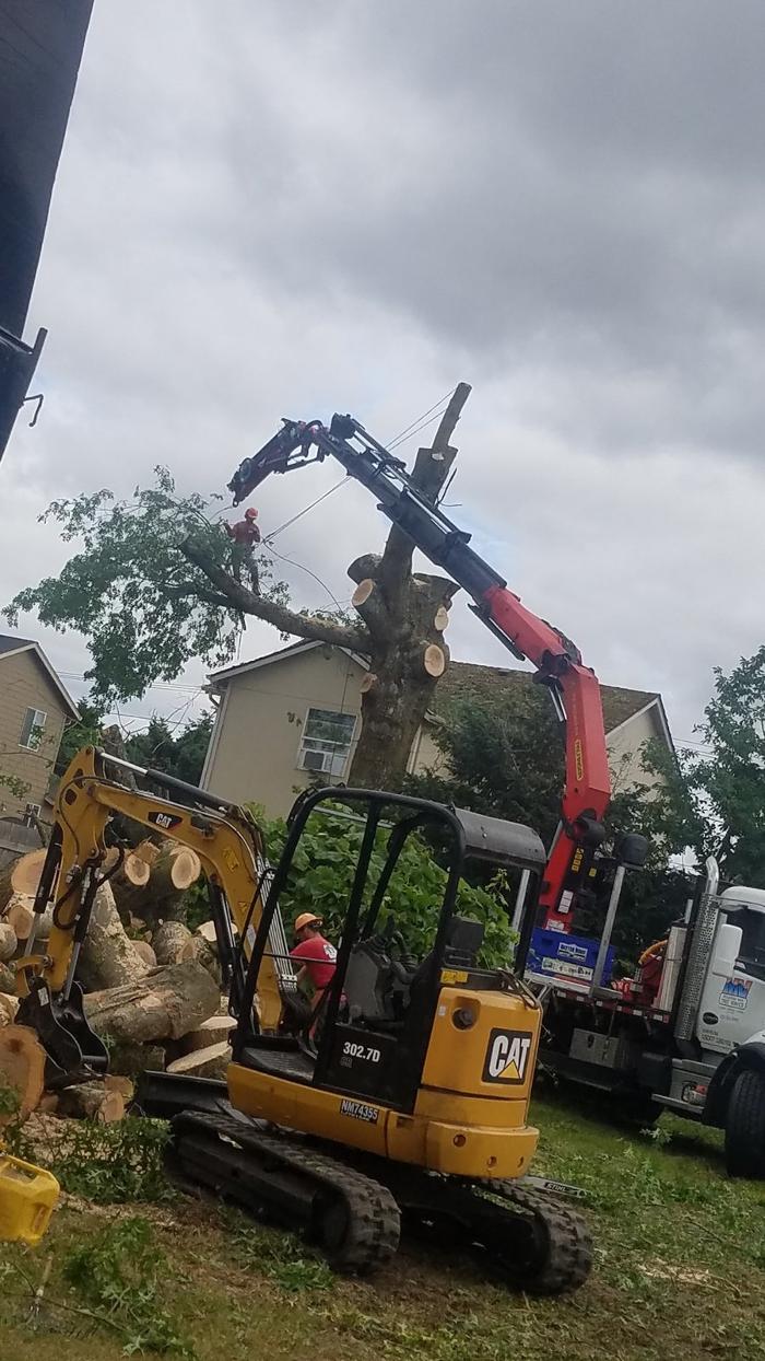 Mountain View Tree Service Image