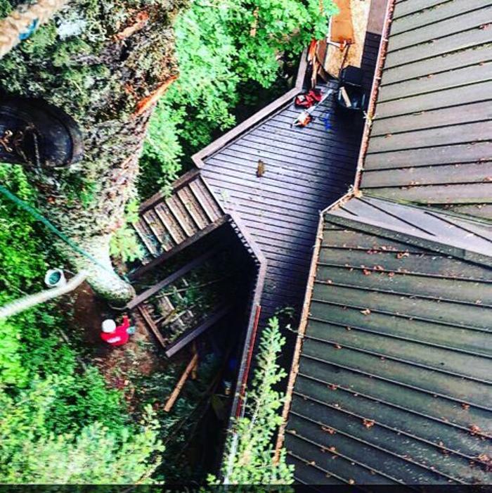 Mountain View Tree Service Image