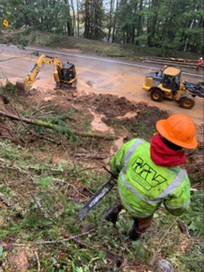 Mountain View Tree Service Image