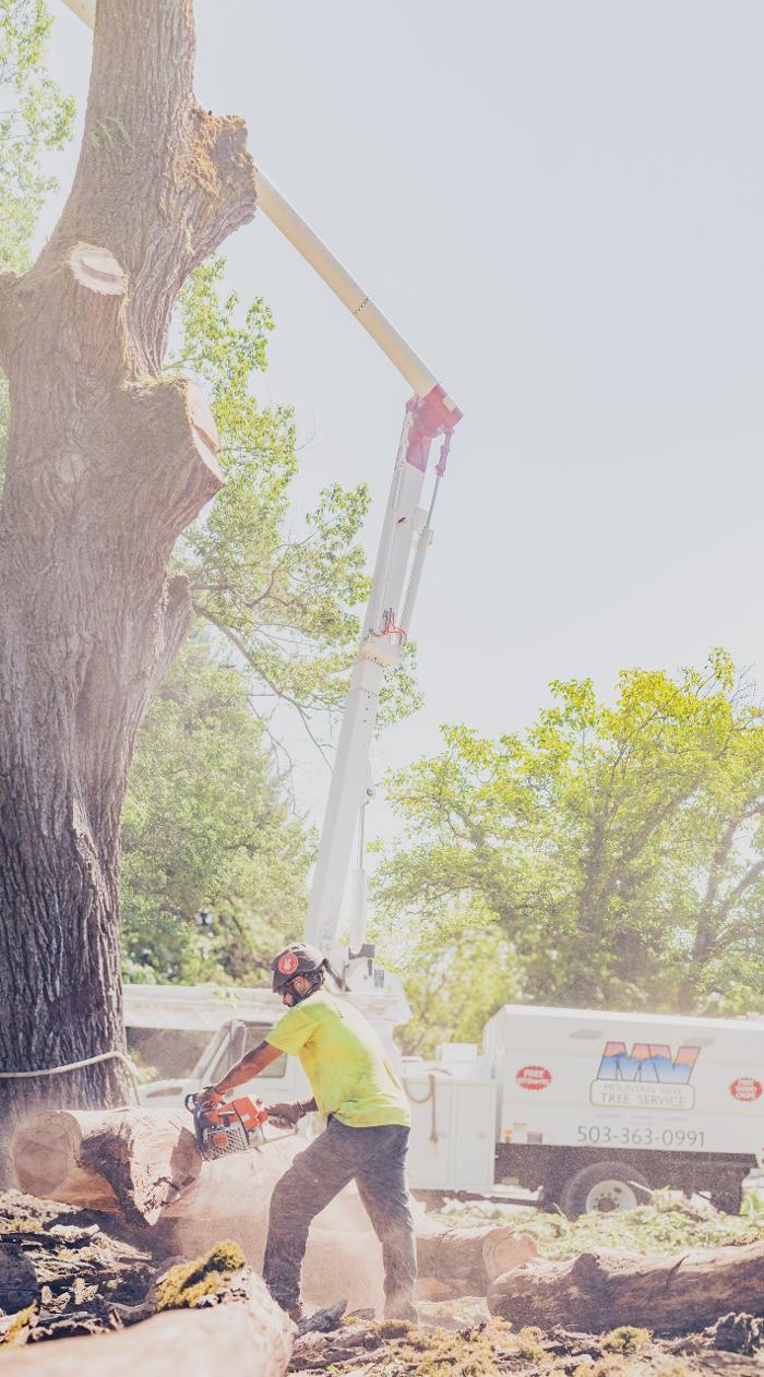 Mountain View Tree Service Image