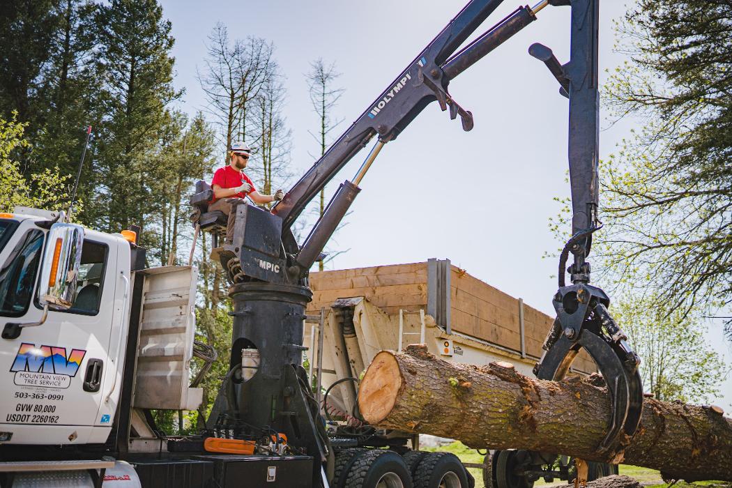 Mountain View Tree Service Image