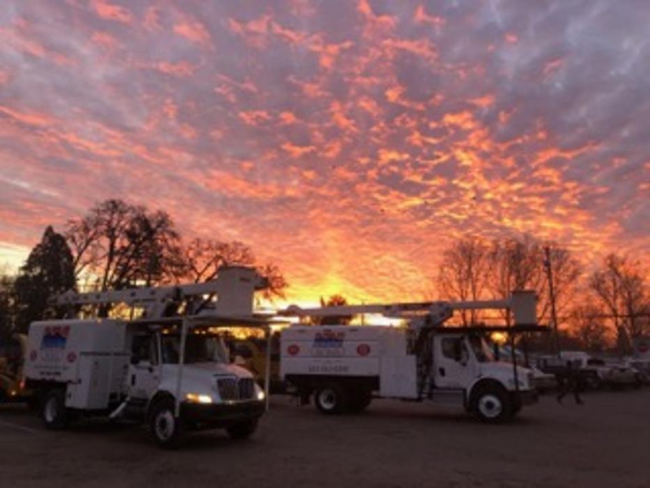 Mountain View Tree Service Image