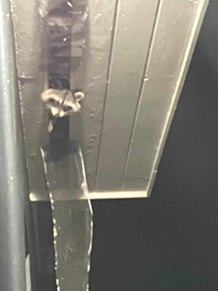 Critter Control - Panama City, FL