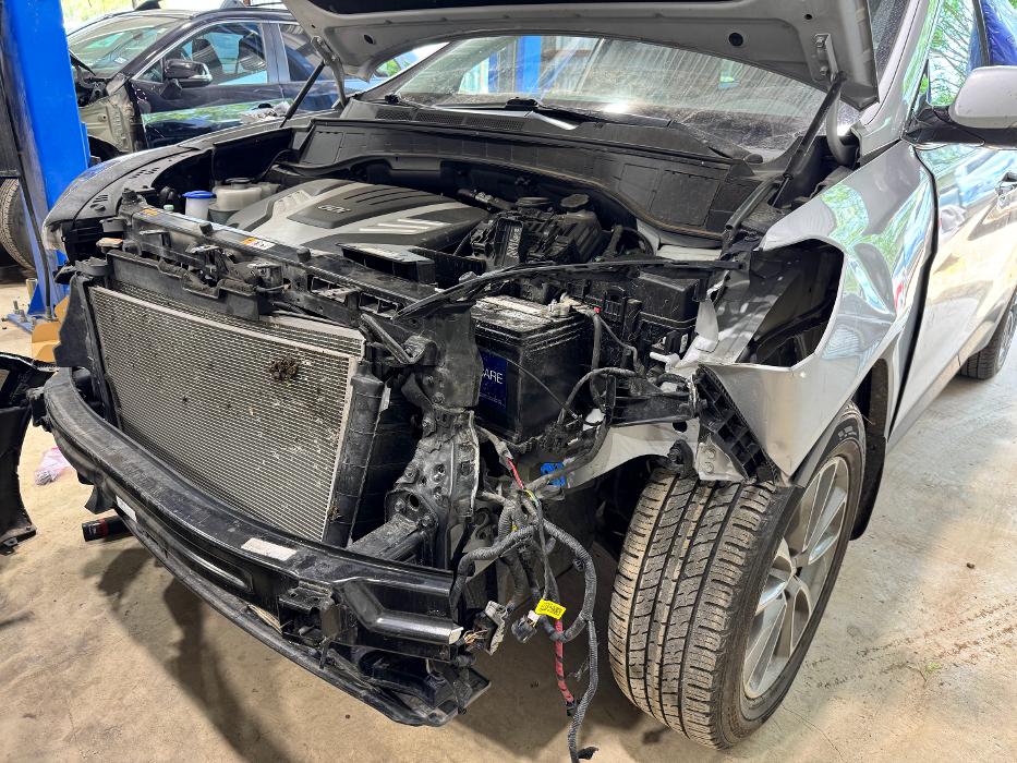 Rivera's Paint & Body Image