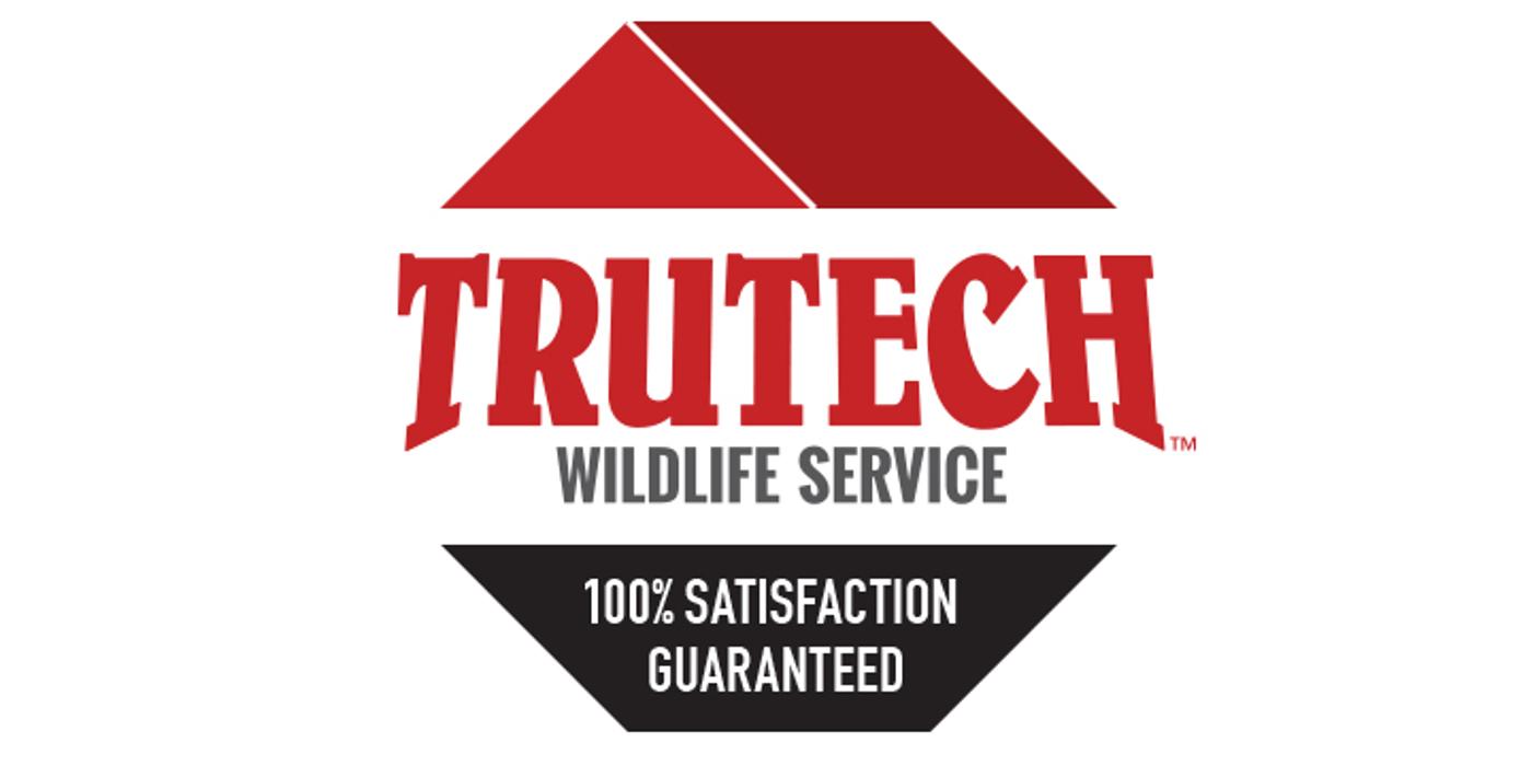 Trutech Wildlife Service - Quincy, MA