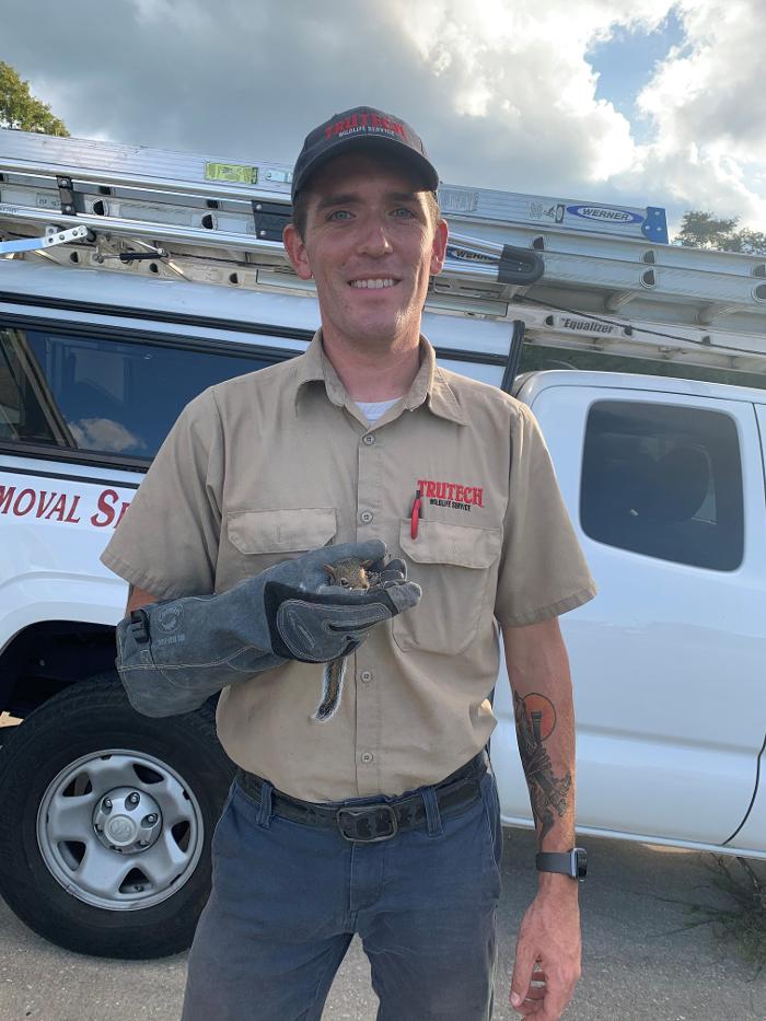 Trutech Wildlife Service - Quincy, MA