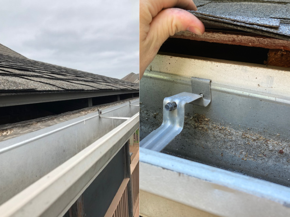 Critter Control - King of Prussia, PA