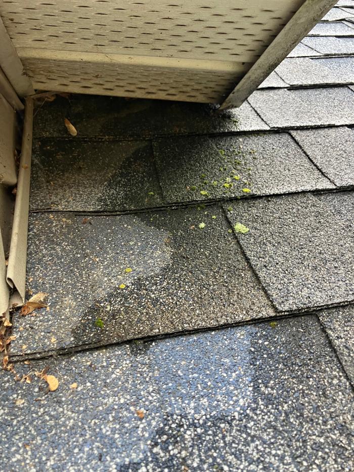 Critter Control - King of Prussia, PA