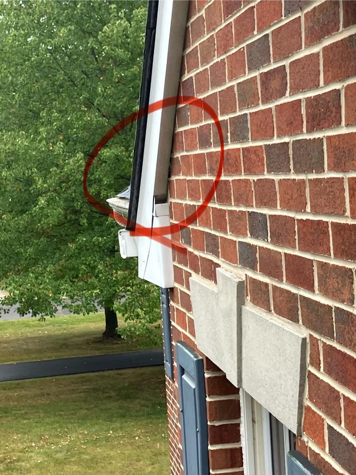 Critter Control - King of Prussia, PA