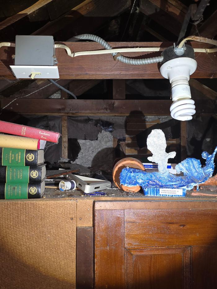 Critter Control - Wrightstown - Wrightstown, NJ