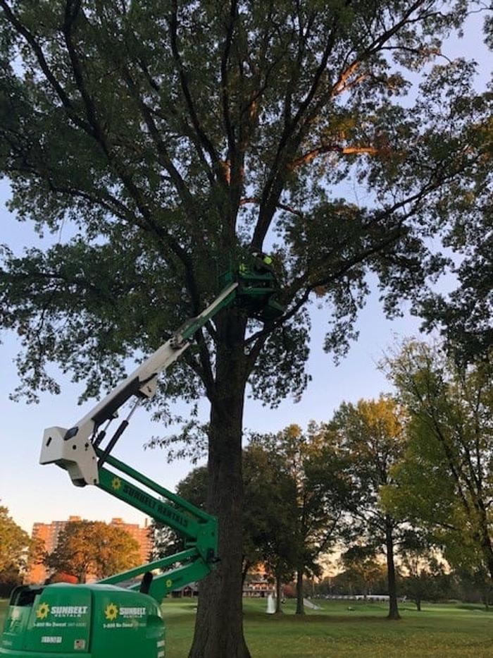 Critter Control - Wrightstown - Wrightstown, NJ