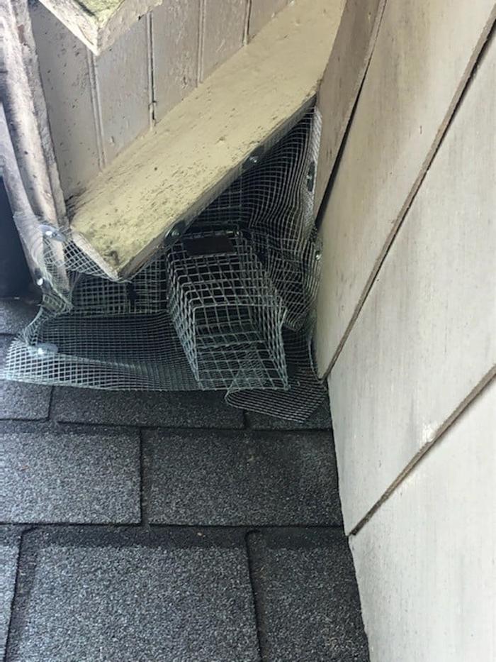 Critter Control - Wrightstown - Wrightstown, NJ