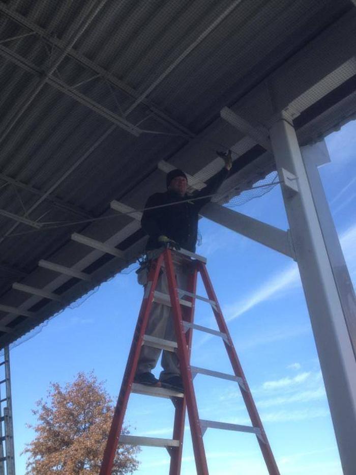 Critter Control - Wrightstown - Wrightstown, NJ