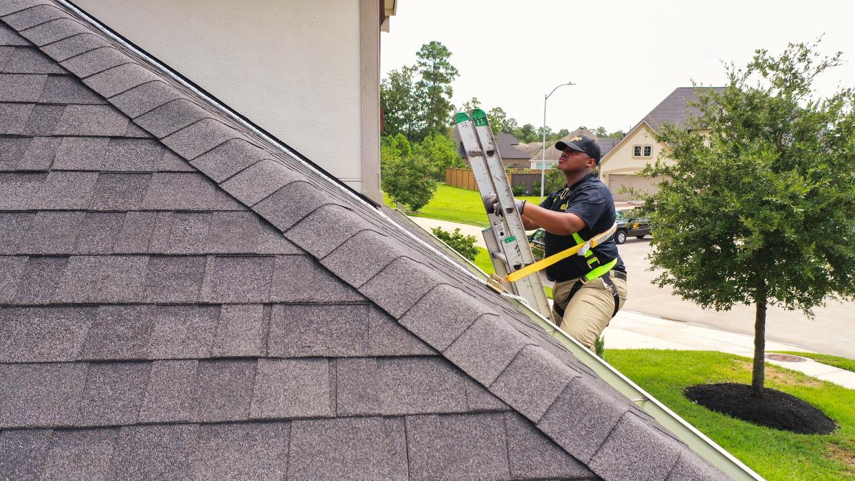 Critter Control - Wrightstown - Wrightstown, NJ