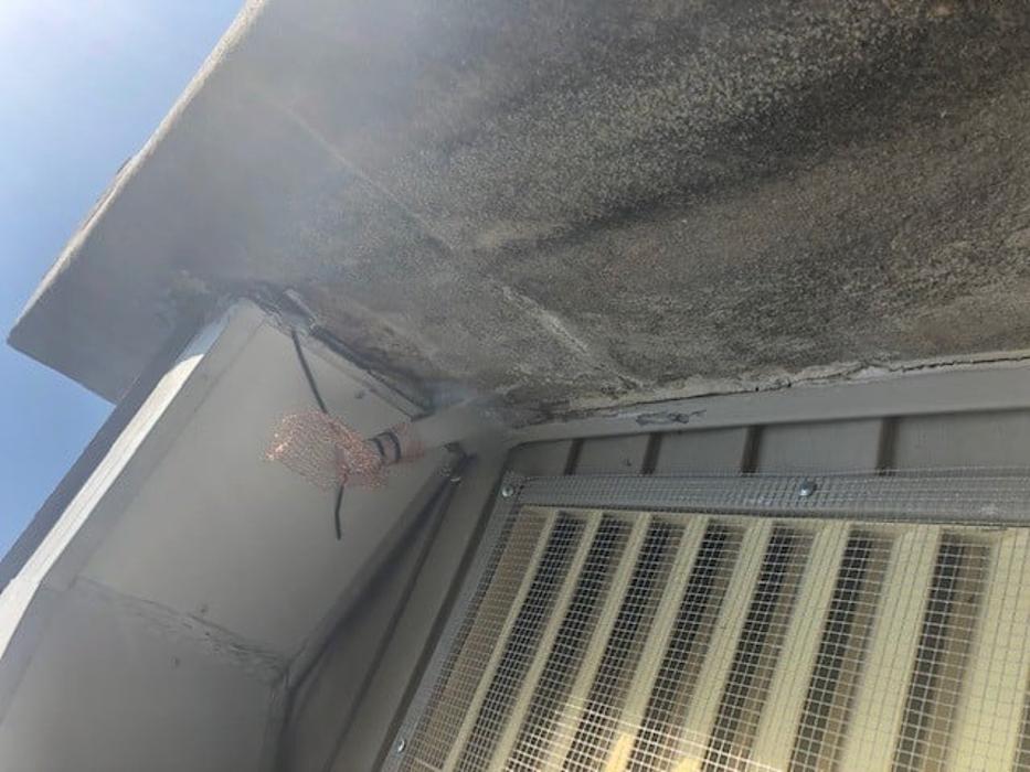 Critter Control - Wrightstown - Wrightstown, NJ