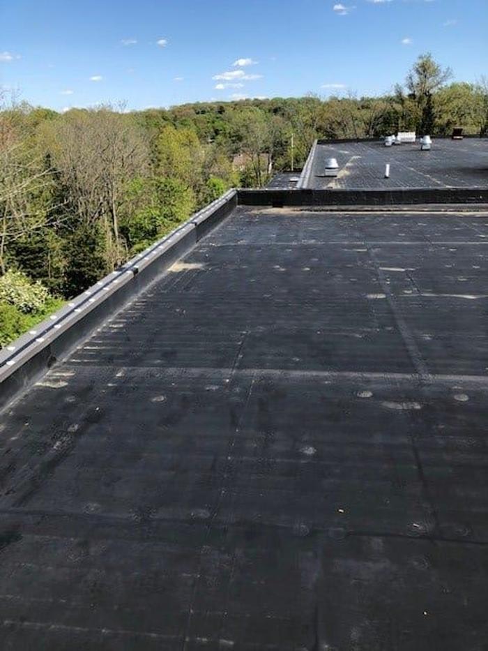 Critter Control - Wrightstown - Wrightstown, NJ