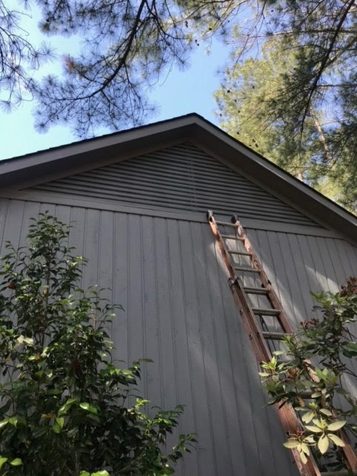 Critter Control - Wrightstown - Wrightstown, NJ