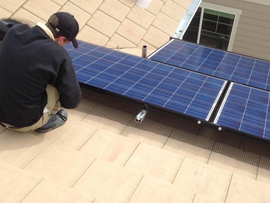 Critter Control - Wrightstown - Wrightstown, NJ