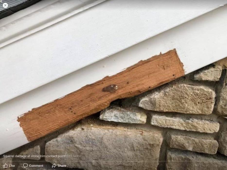 Critter Control - Wrightstown - Wrightstown, NJ