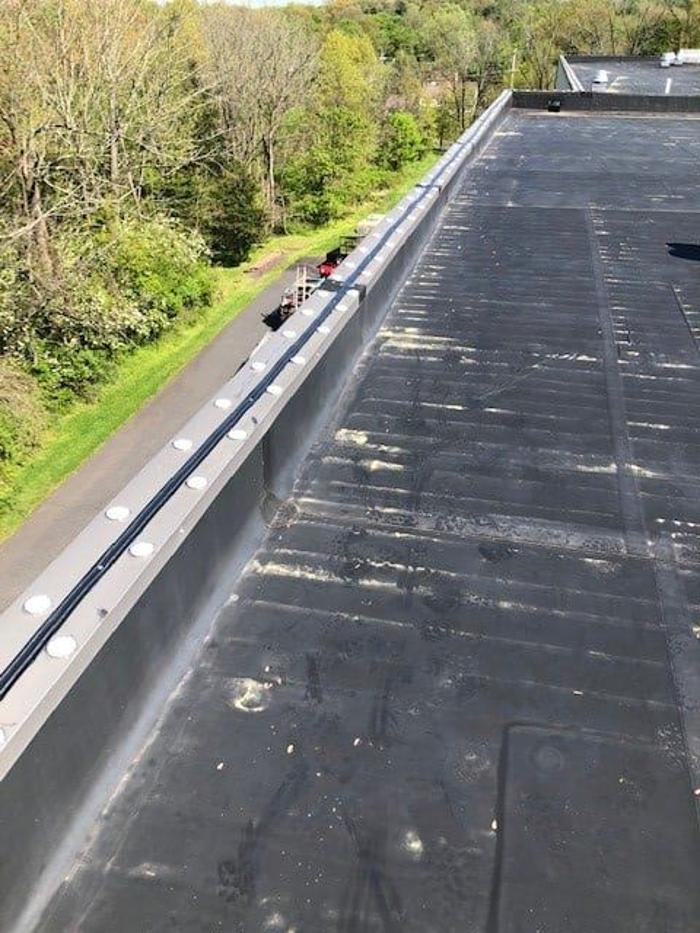 Critter Control - Wrightstown - Wrightstown, NJ