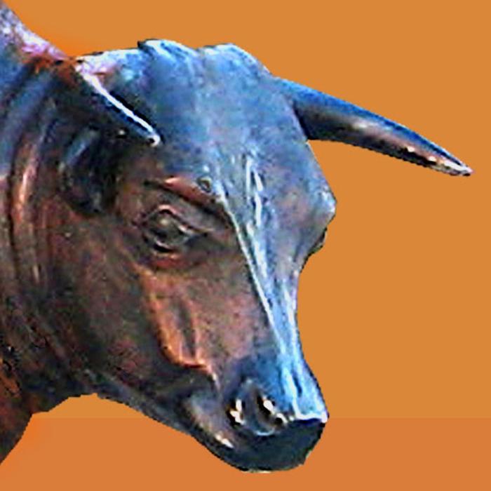 El Rancho Grande Mexican Restaurant Image