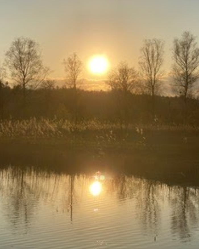 Geistiges Heilen Anita Grogg, Sandäcker in Rottenschwil