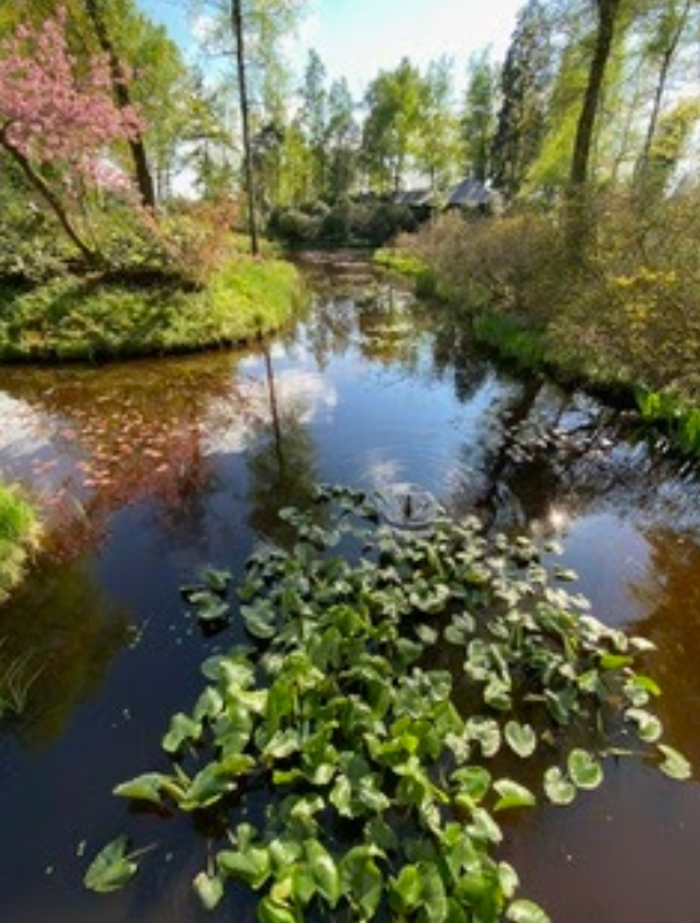Geistiges Heilen Anita Grogg, Sandäcker in Rottenschwil