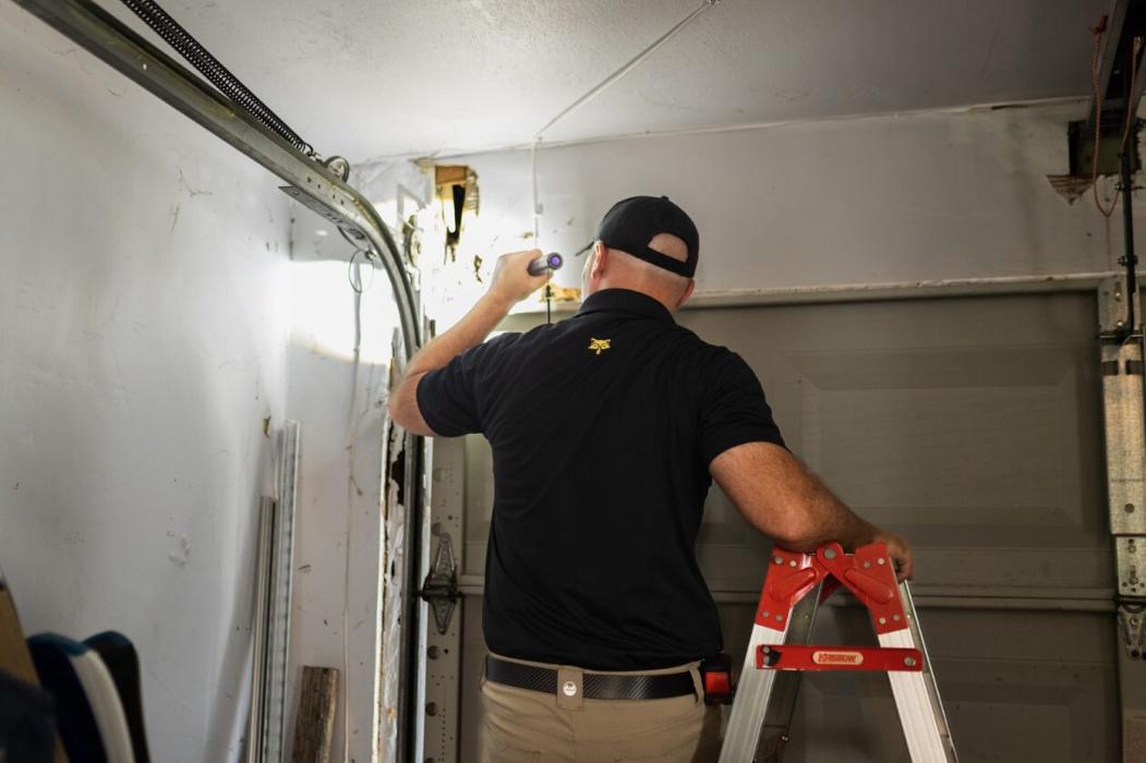 Critter Control - Niceville, FL