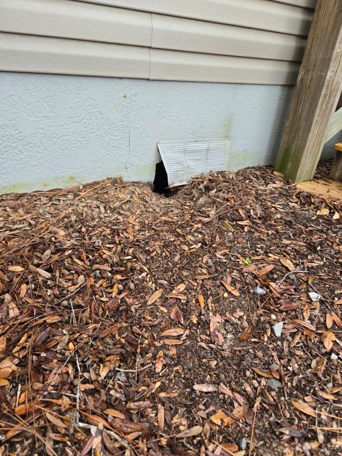 Critter Control - Niceville, FL