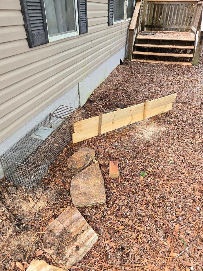 Critter Control - Niceville, FL