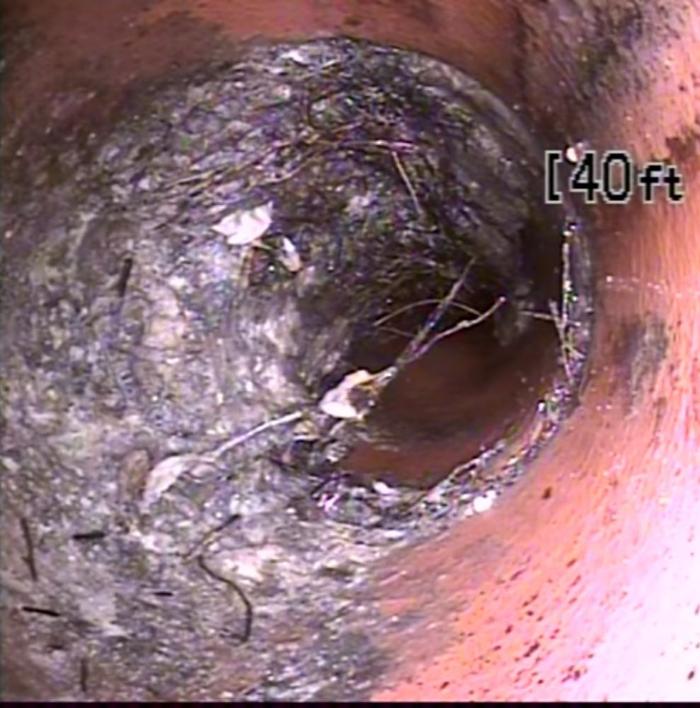 Fast Az Services - Dothan, AL