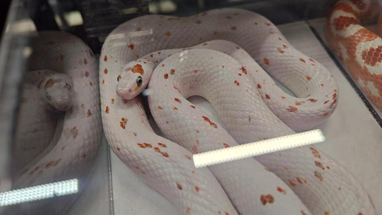 Tree of Life Exotic Pet Medical Center Image