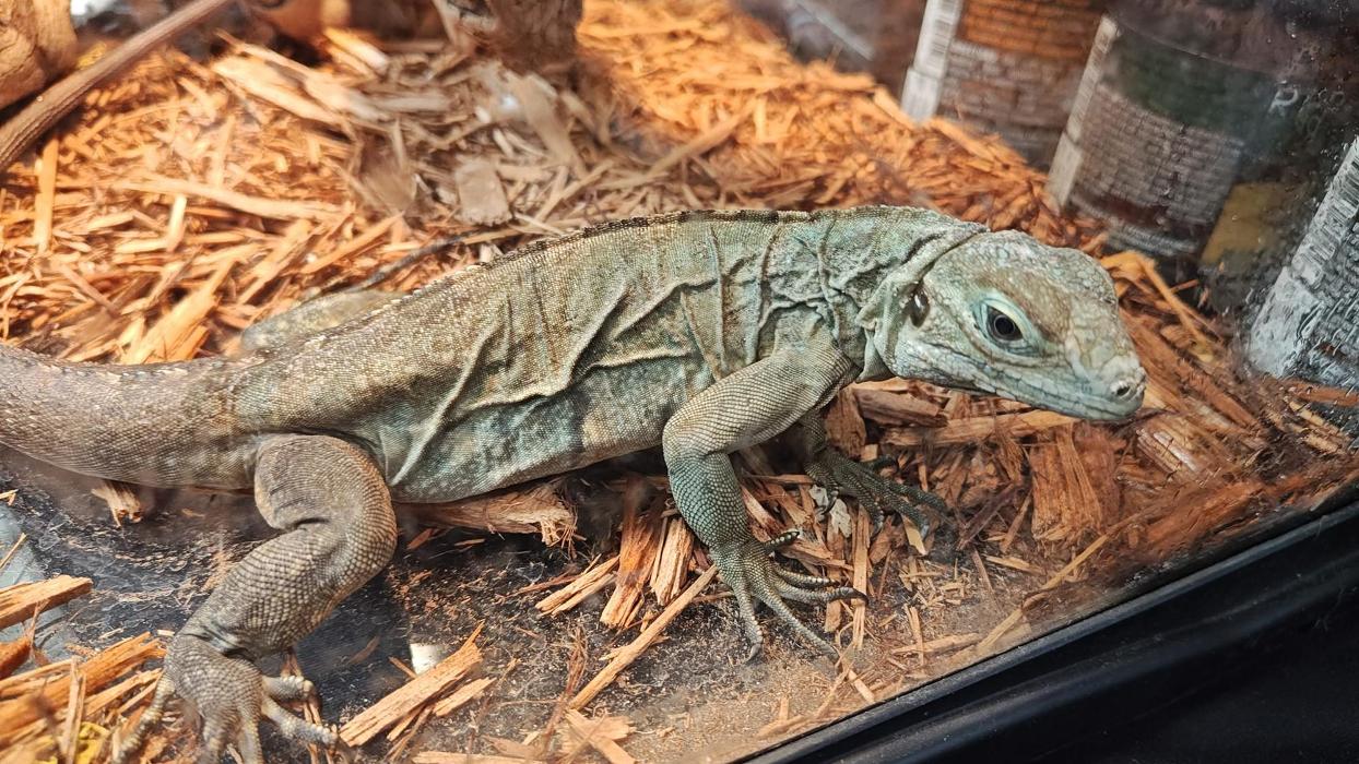 Tree of Life Exotic Pet Medical Center Image