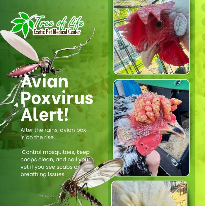 Tree of Life Exotic Pet Medical Center Image