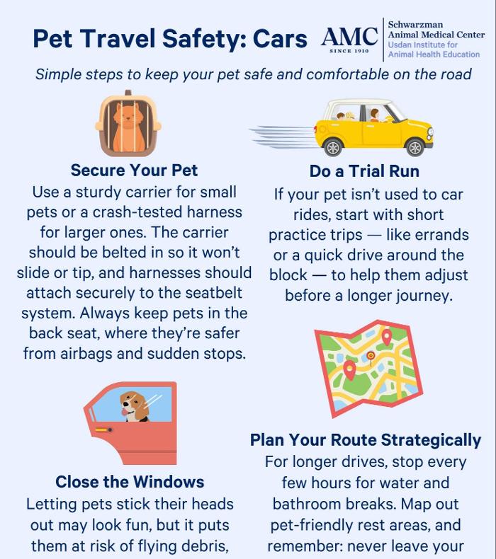 Tree of Life Exotic Pet Medical Center Image