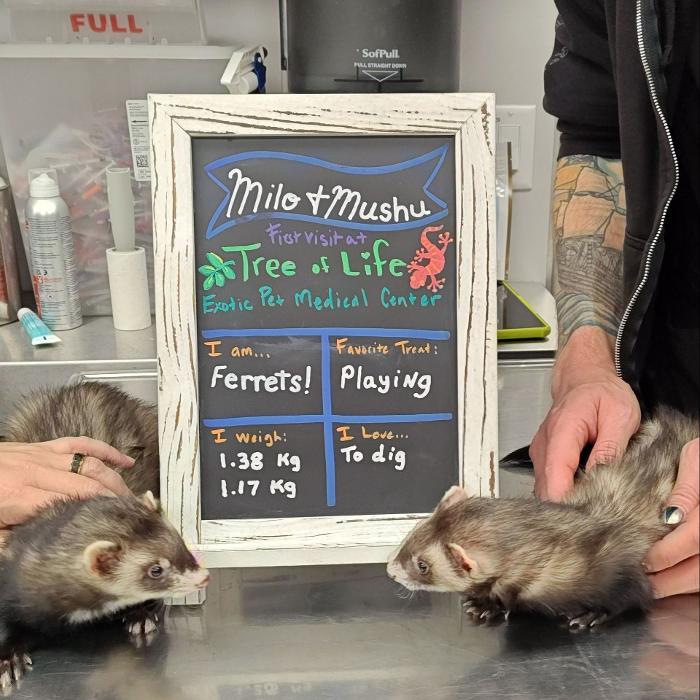 Tree of Life Exotic Pet Medical Center Image