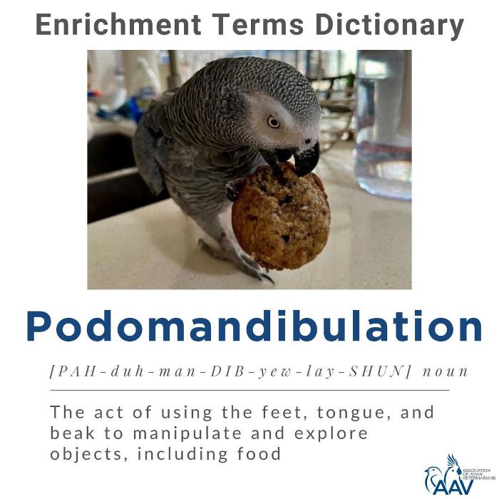 Tree of Life Exotic Pet Medical Center Image