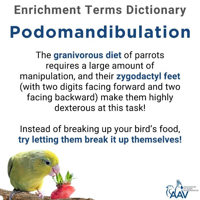 Tree of Life Exotic Pet Medical Center Image