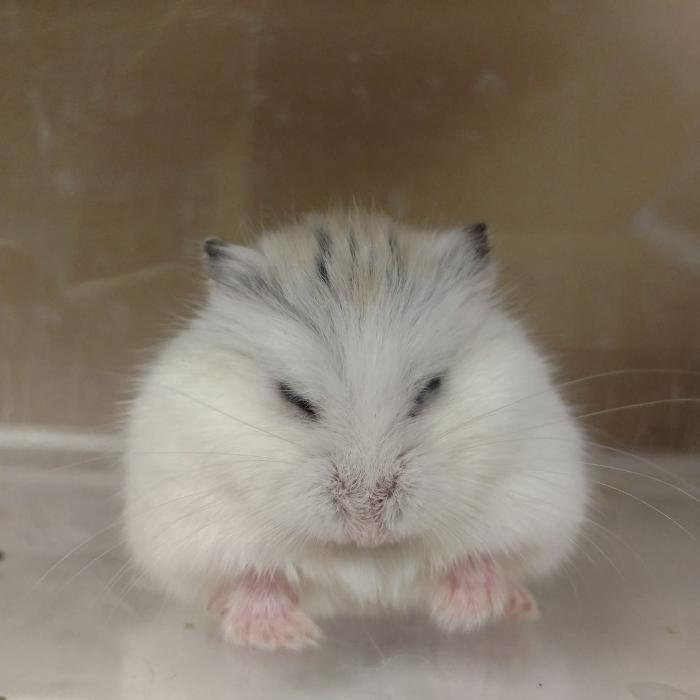 Tree of Life Exotic Pet Medical Center Image