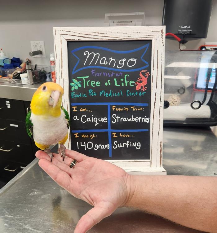 Tree of Life Exotic Pet Medical Center Image