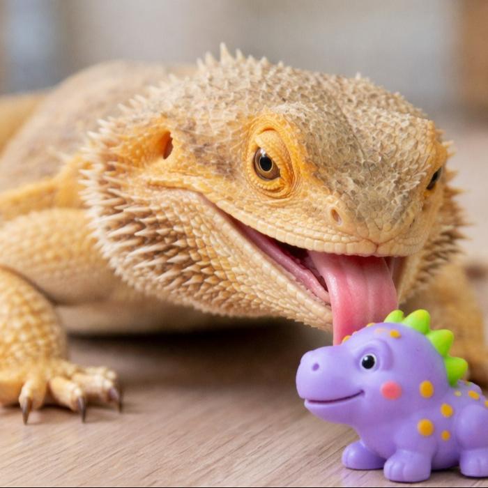 Tree of Life Exotic Pet Medical Center Image