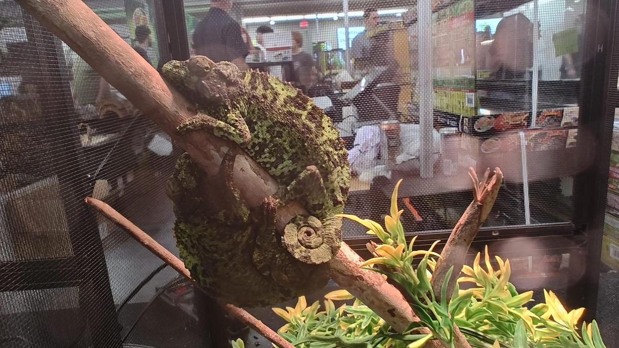 Tree of Life Exotic Pet Medical Center Image