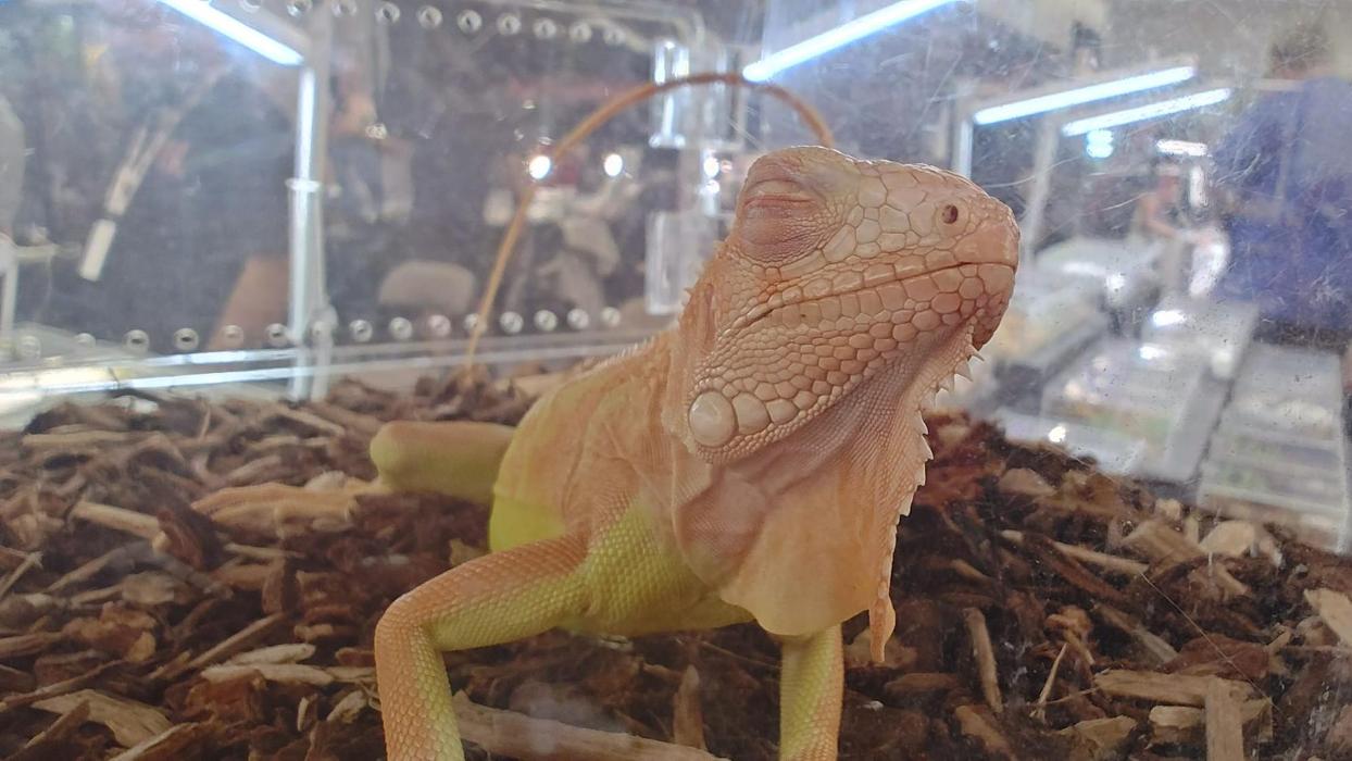 Tree of Life Exotic Pet Medical Center Image