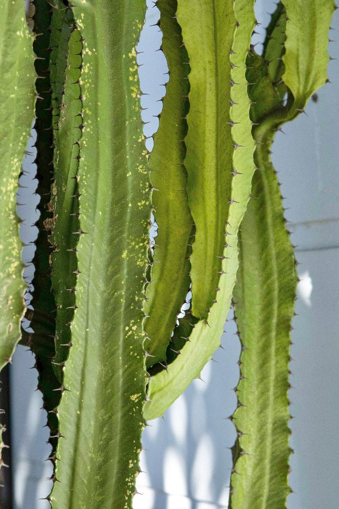 Sunny Side Cafe & Eatery Image