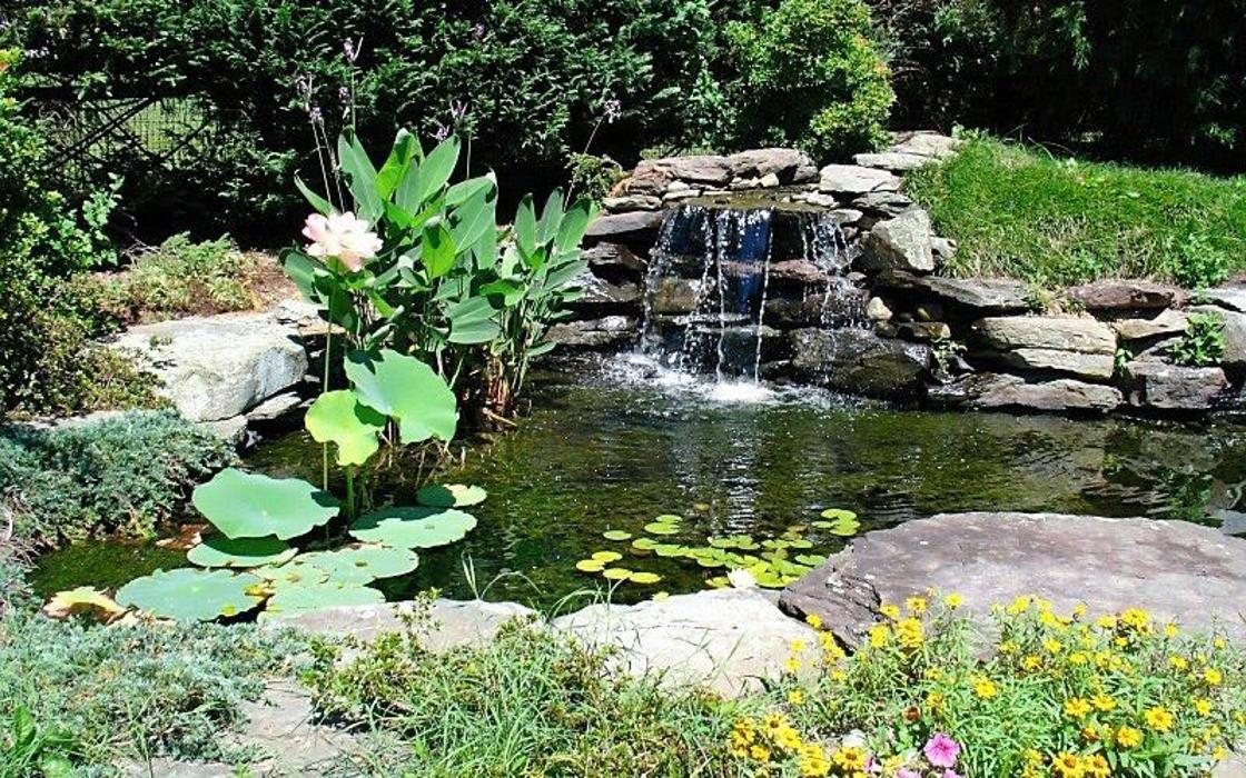 SAB Lawn & Landscaping Inc - Sterling, VA